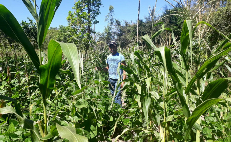 Agricultor Josenilson de Sousa Gomes aposta no plantio consorciado de milho e feijão para aumentar a renda familiar