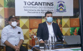 Plano Safra entra em vigor e produtores tocantinenses já podem acessar recursos para financiamento