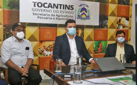 Tocantins terá R$ 2,5 bilhões de instituição financeira para produtores investirem em atividades agrícolas