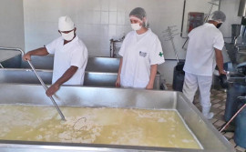 Tocantins celebra crescimento da agroindústria no primeiro semestre