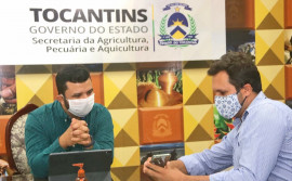 Governo do Tocantins apresenta potencialidades para implantação de projetos de fruticultura