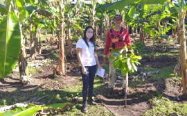 Em Filadélfia, produtor investe no sistema agroflorestal e aumenta produtividade com assistência técnica do Governo do Tocantins