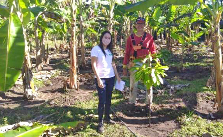 Assistência Técnica do Ruraltins propiciou aumento de 40% nas produção local