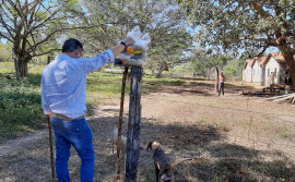 Para minimizar os impactos da pandemia, Governo do Tocantins segue com entrega de cestas básicas às famílias rurais