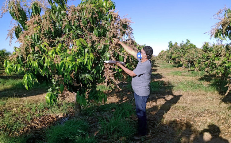 José Oliveira Fernandes é beneficiário do projeto de Assistência Técnica e Extensão Rural para Médios Produtores, executado pelo Governo do Estado