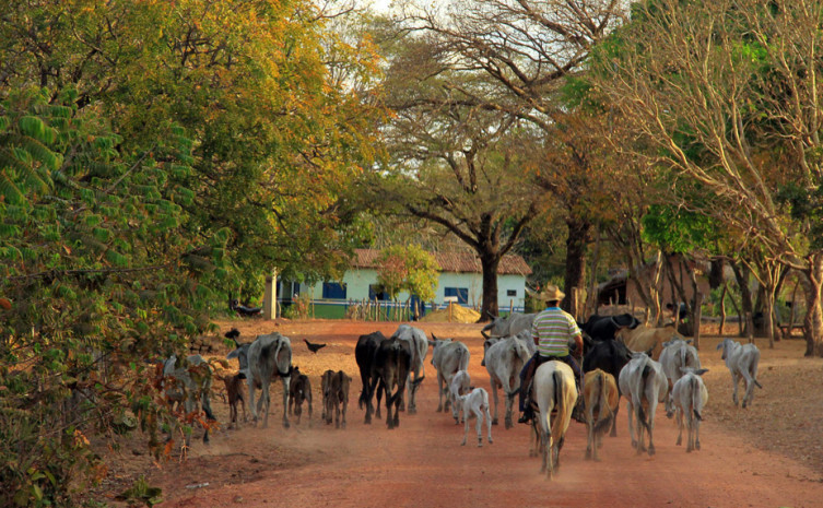 O CAR estará nas propriedades rurais realizando os cadastros