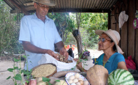 Parceria entre Governo do Tocantins e Anater beneficia produtores rurais com cerca de R$ 500 mil do projeto Inovação no Campo