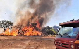 Corpo de Bombeiros do Tocantins combate incêndio florestal em Palmas