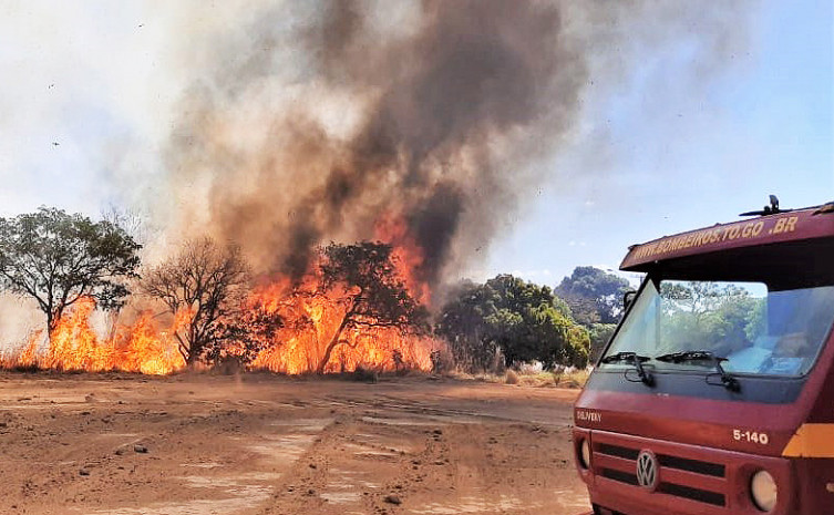 Bombeiros militares impediram que a totalidade da área fosse consumida pelo fogo na região norte de Palmas