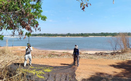 Governo do Tocantins coleta mais de 20 mil sementes nativas para projetos de recuperação de áreas degradadas e paisagismo urbano