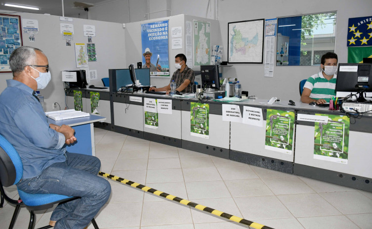 Expectativa é que a vacinação tenha atingindo cerca de 8,5 milhões de bovídeos