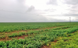 Governo do Tocantins alerta produtores rurais sobre período chuvoso no Estado