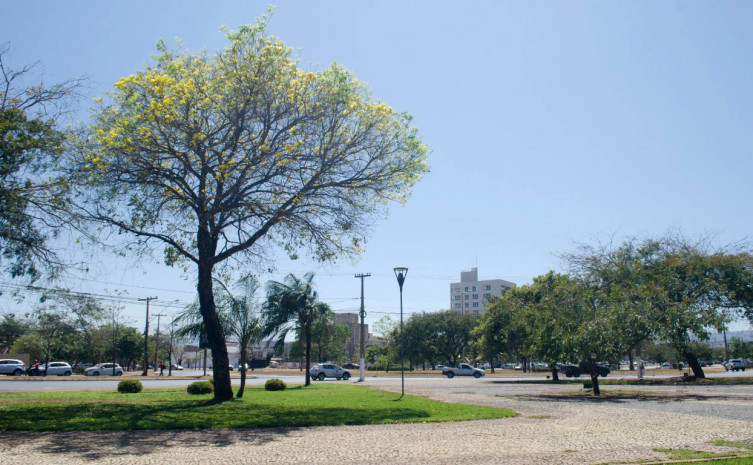 Calor deverá se acentuar nos próximos dias e umidade diminuir