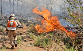 Com o aumento de focos de incêndios florestais, Defesa Civil do Tocantins destaca que população tem papel central na solução do problema