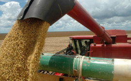 Governo do Tocantins e parceiros visitam áreas de produção de soja na região da Lagoa da Confusão