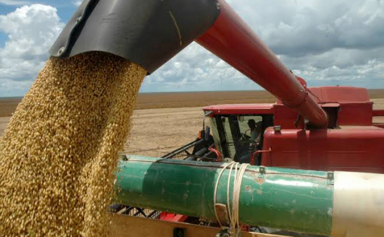 Visita técnica tem como objetivo mostrar uma das regiões que oferece condição ímpar na produção agrícola