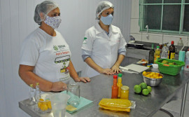 Seagro promove workshop digital para demonstrar potencial produtivo dos frutos do Cerrado na agroindústria tocantinense