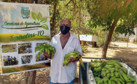 Governo do Tocantins inicia aquisição de alimentos em Tupiratins
