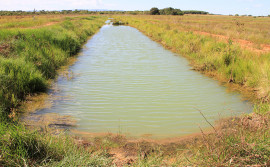 Fapt incentiva participação em edital do CNPq que disponibiliza R$ 1 milhão para projetos ambientais