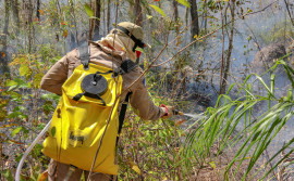 Corpo de Bombeiros do Tocantins e brigadistas estão em Taquaruçu para 18º dia de combate aos incêndios florestais