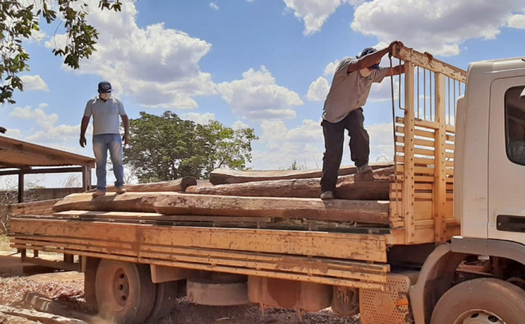 Ruraltins destina 1.000 metros de madeira ao Colégio Agrícola de Almas para construção de currais 