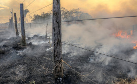 Incêndio: órgãos ambientais e de fiscalização do Tocantins vão percorrer áreas de Luzimangues, Barrolândia e Miracema