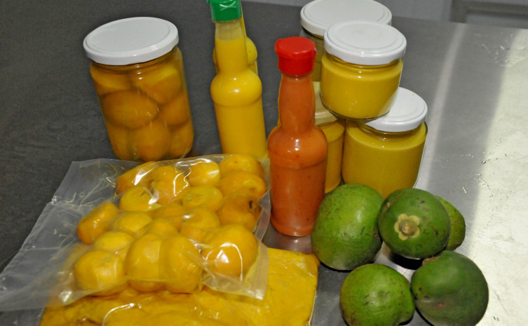 Secretaria Estadual da Agricultura incentiva produtores no processamento do pequi