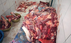 Ação conjunta entre Adapec e instituições de Itacajá apreende carne clandestina