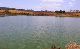 Governo do Tocantins presta assistência técnica a produtor de Almas para elaboração de projeto para instalação de frigorífico de peixe