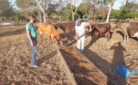 Produtor segue orientações técnicas e melhora resultados na produção leiteira