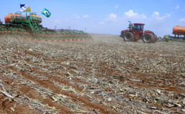 Produtores aguardam chuvas regulares para iniciar mais uma safra promissora no cultivo de grãos no Tocantins