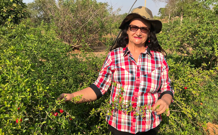 História da agricultora familiar, Vayrene Milhomem da Silva ganhou destaque e repercussão ao ser publicada no site Organização das Nações Unidas para a Alimentação e a Agricultura (FAO) no Brasil