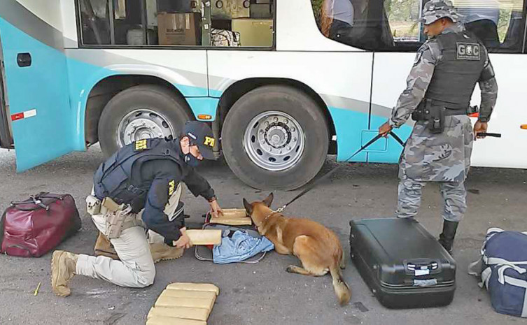 Cão de faro de entorpecentes Sniper localiza droga dentro de mala