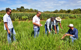 Governo do Tocantins comemora 10 anos do Plano ABC no Estado