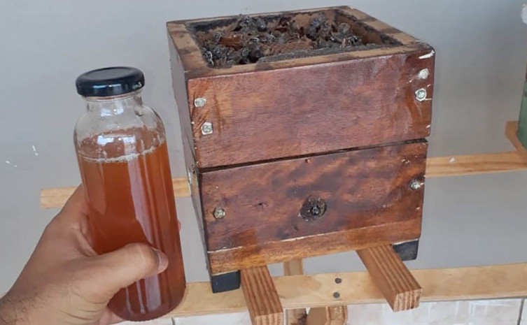 Foram povoadas 11 caixas com abelhas das espécies Marmelada, Uruçu Amarela, Uruçu Preta, Tiuba e Jataí 