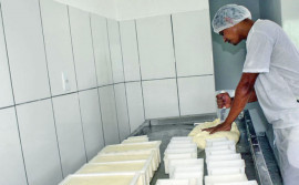 Encontro reforça importância do cadastramento do SIM no Sistema Brasileiro de Inspeção