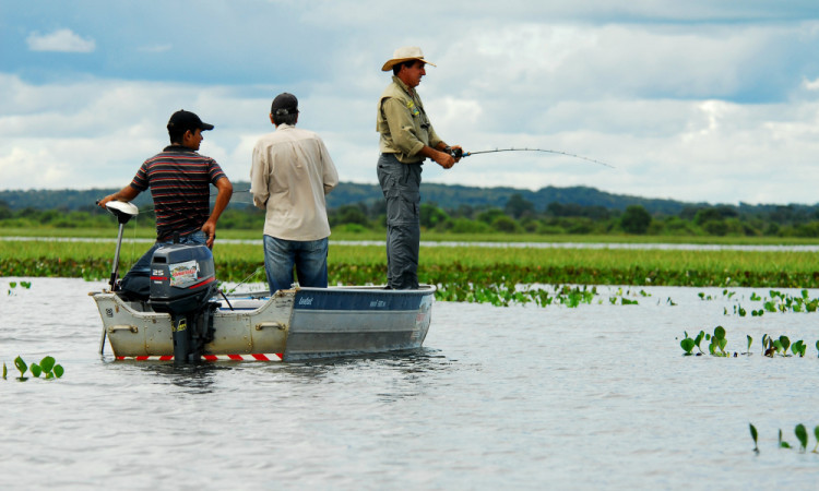 Governo do Tocantins fixa início da Piracema para o próximo dia 1° de  novembro