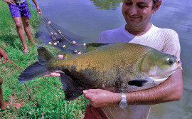 Governo do Tocantins promove capacitação em piscicultura para técnicos da extensão rural