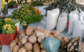 Governo do Tocantins e parceiros realizam Feira Noturna da Agricultura Familiar em Itaguatins