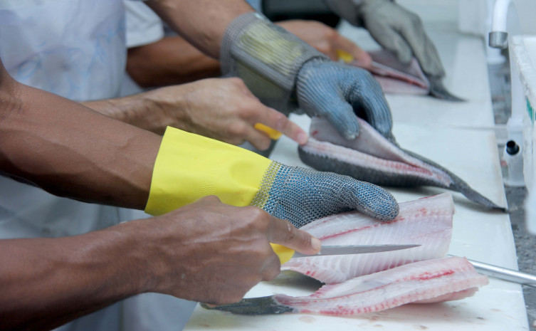 Tocantins se mantém entre os seis estados brasileiros que mais geram emprego relativamente, aponta Caged