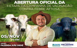 Governo do Tocantins lança segunda etapa da campanha de vacinação contra febre aftosa nesta quinta-feira, 5