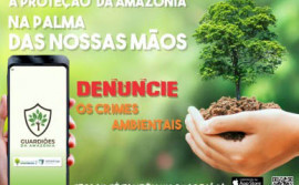 Polícia Militar usará ferramenta de denúncia, criada pelo Exército Brasileiro, no combate aos crimes ambientais no Tocantins