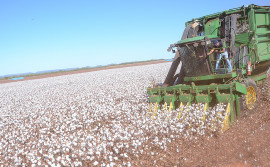 Governo do Tocantins destaca crescimento de 2,1% do PIB do Estado 