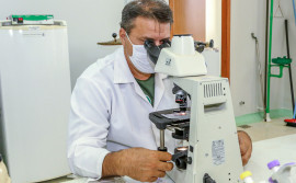 Pesquisador tocantinense desenvolve bioinseticida para uso urbano e rural