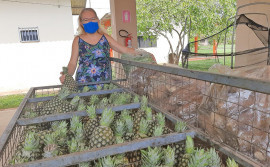 Ruraltins executa Programa de Aquisição de Alimentos e beneficia internos do abrigo Lar Batista
