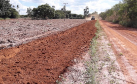 Ruraltins e parceiros implantam unidade demonstrativa de arroz consorciado com forrageira
