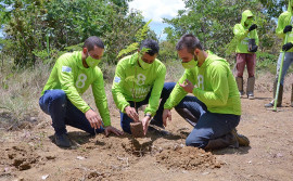 Governo do Tocantins e ONG 8 BillionTrees realizam plantio de mudas no Parque Estadual do Lajeado