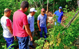 Extensão rural, o braço forte do produtor no Tocantins