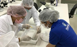 Governo do Tocantins apoia iniciativas inovadoras de pesquisa científica em saúde