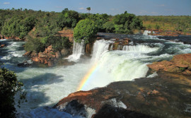 Governo do Tocantins se alia à tecnologia e encerra 2020 com ações em prol da conservação ambiental e do desenvolvimento sustentável